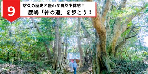 鹿島 ヒンサロ|悠久の歴史と豊かな自然を体感！「鹿嶋 神の道」を歩こう！